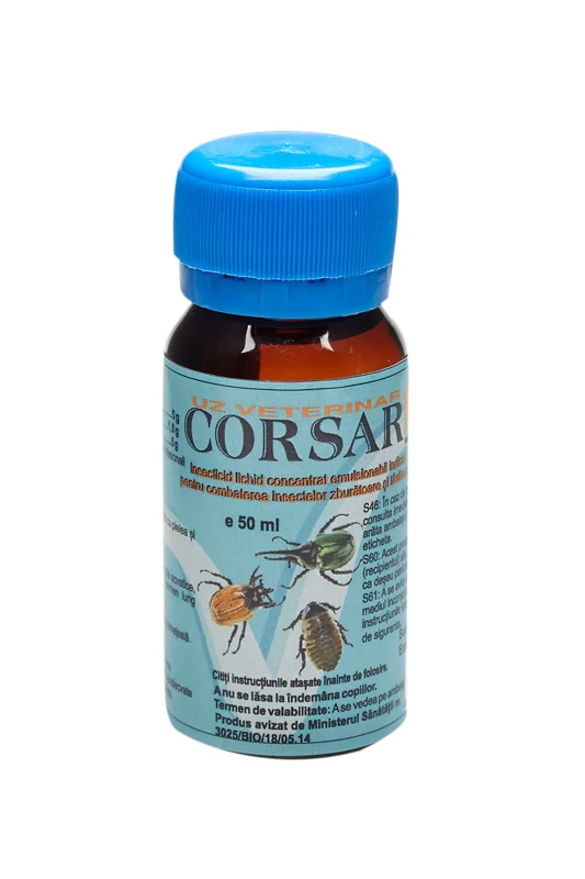 corsar 1